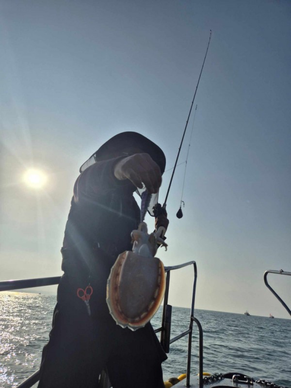 f98a5ea8096fb6c37cf3dd50834d88bd_1762678