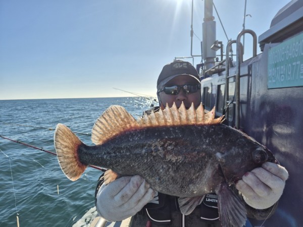 0166d0b6b141c0bb2eb0766c06f3a329_1771560