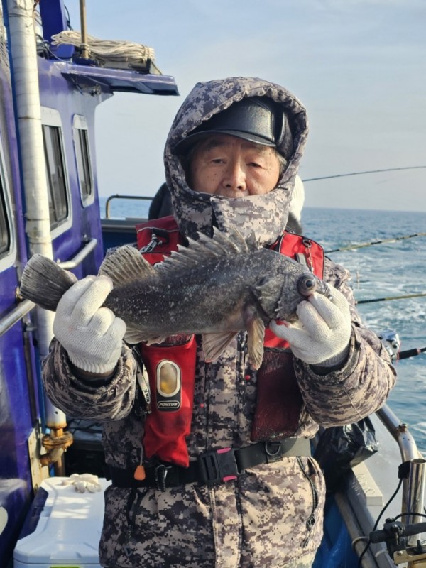 0166d0b6b141c0bb2eb0766c06f3a329_1772301