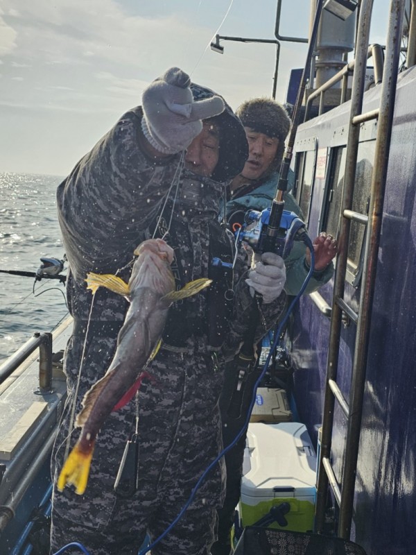 0166d0b6b141c0bb2eb0766c06f3a329_1772301