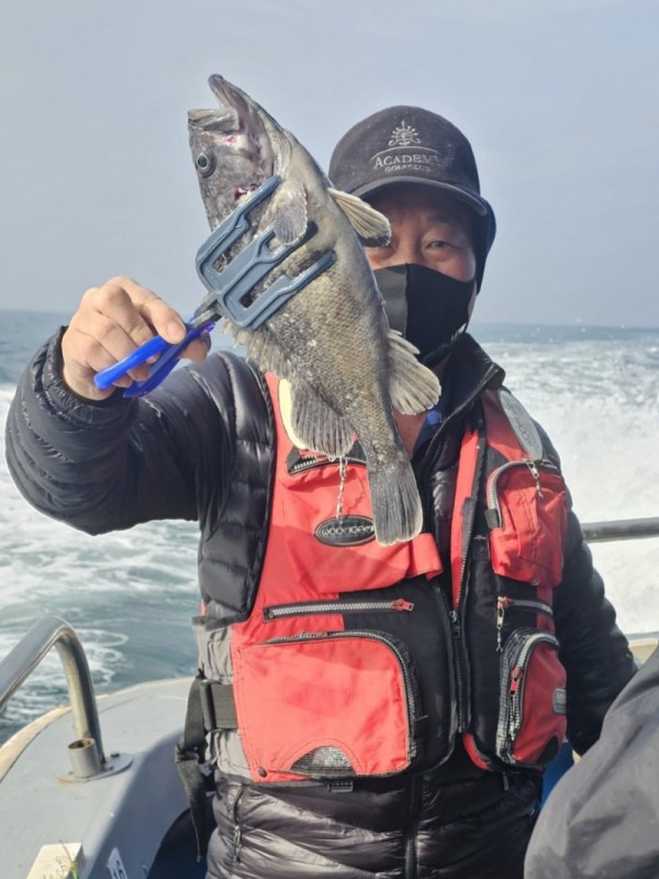 0166d0b6b141c0bb2eb0766c06f3a329_1772301