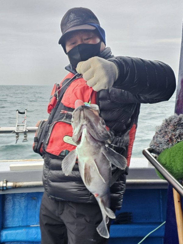 0166d0b6b141c0bb2eb0766c06f3a329_1772301