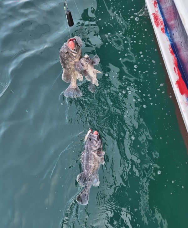 7680dd5d5e2a55780337d5885be69d7b_1773104