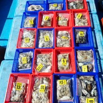 9월 8일 남덕5호 쭈꾸미,갑오징어 …