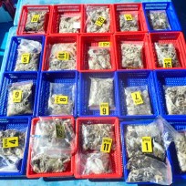 9월 14일 남덕5호 쭈꾸미,갑오징어…