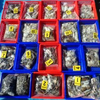 9월 15일 남덕5호 쭈꾸미,갑오징어…