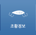 조황정보